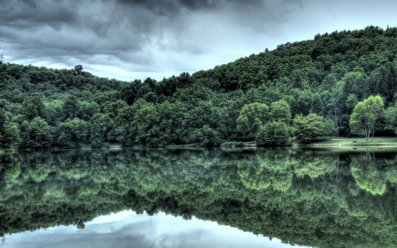 Лесной берег обои