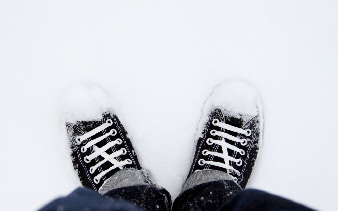 Дурак зимой в кедах обои