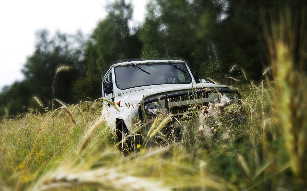 УАЗик в траве обои