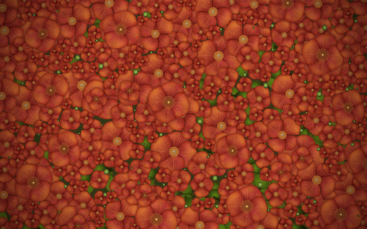 Рисунко с красными цветами обои