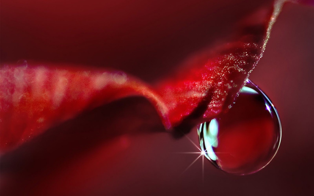 Макро капля на лепестке обои