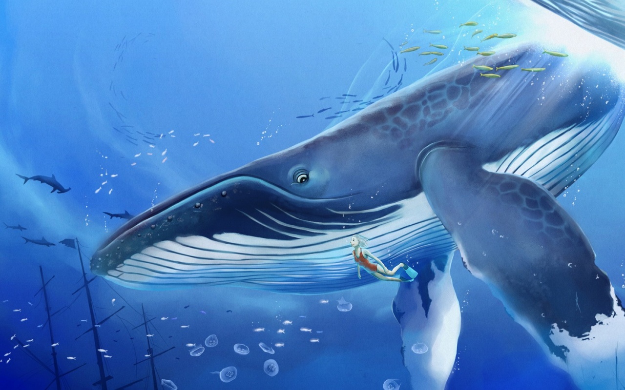 Кит и девушка обои