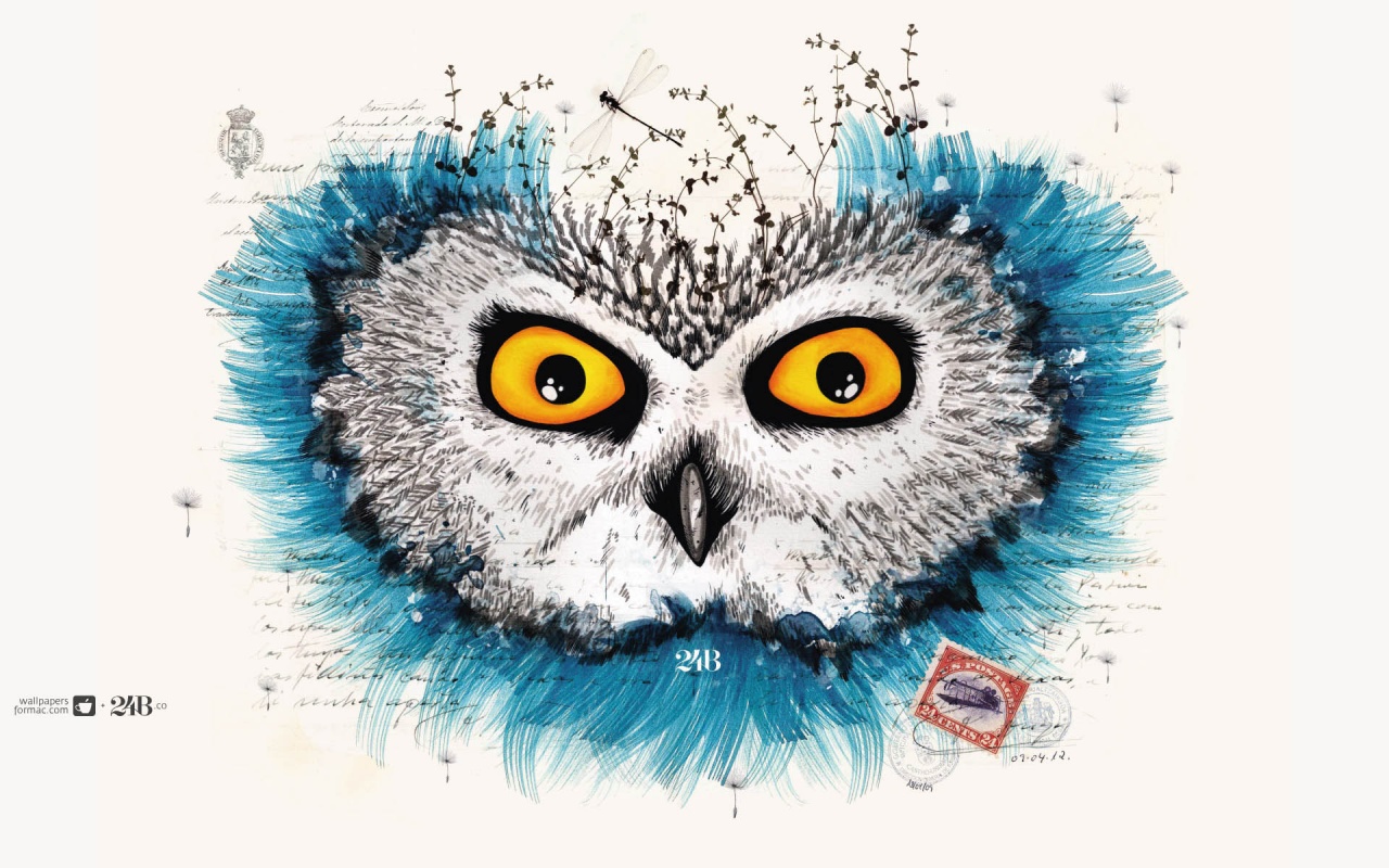 Обои сова для mac book обои