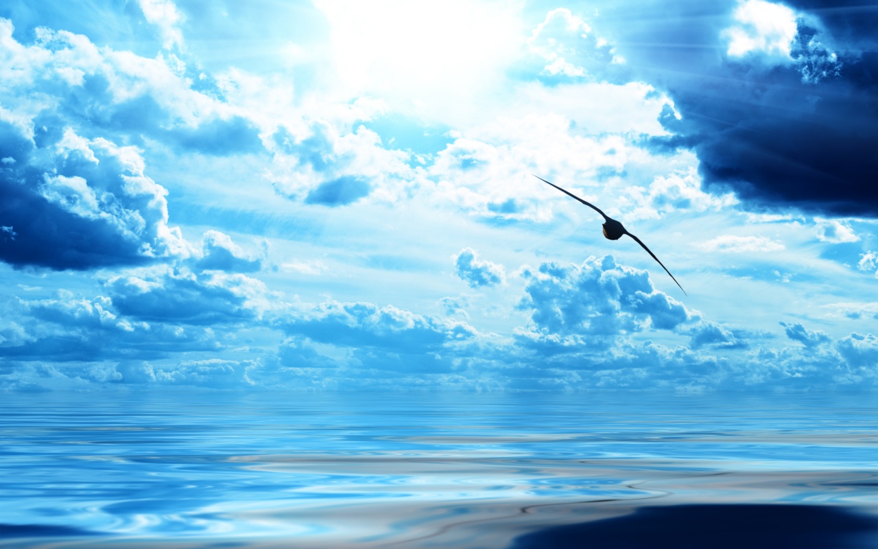 Лети как птица над волнами обои