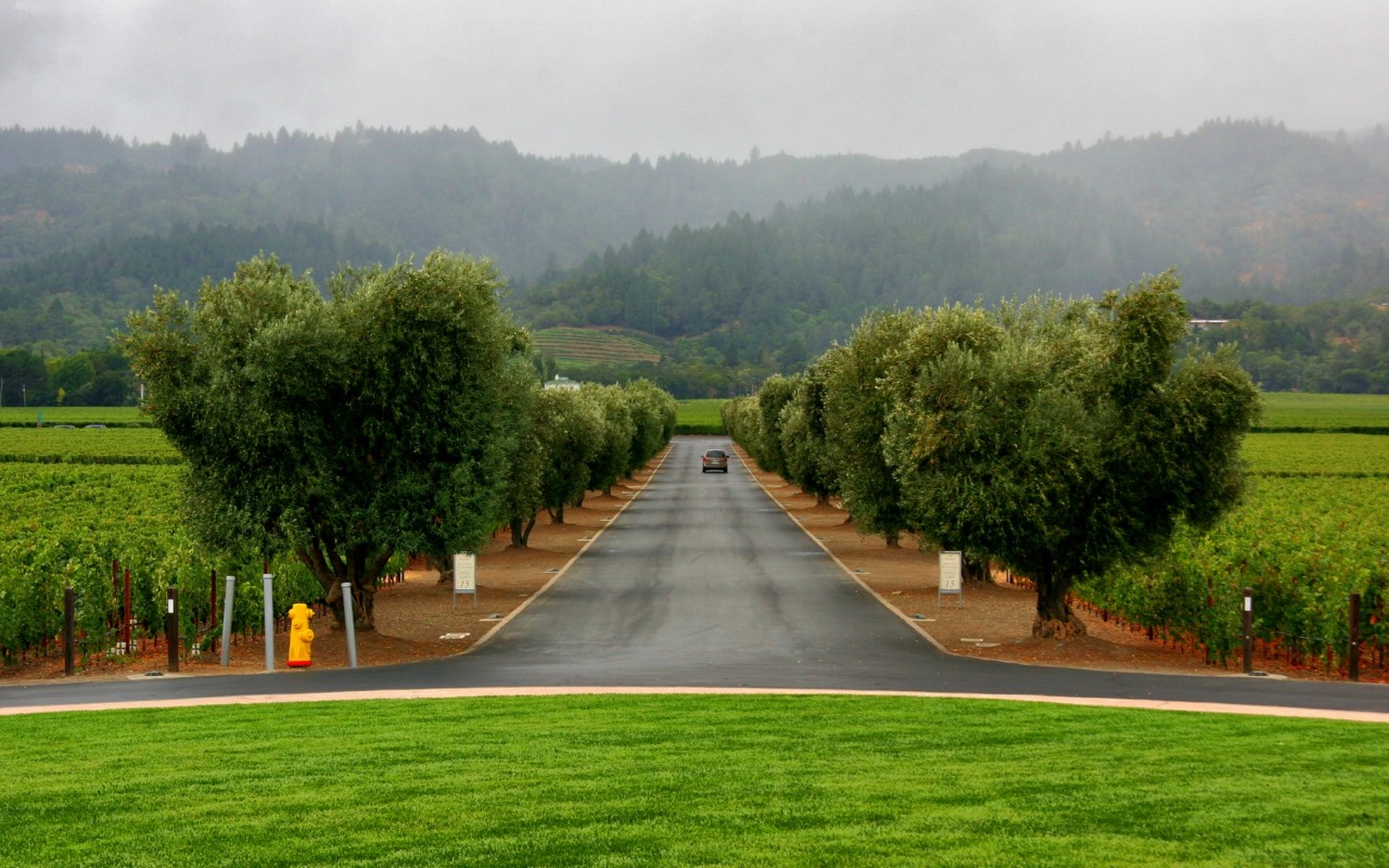 Сельский пейзаж обои