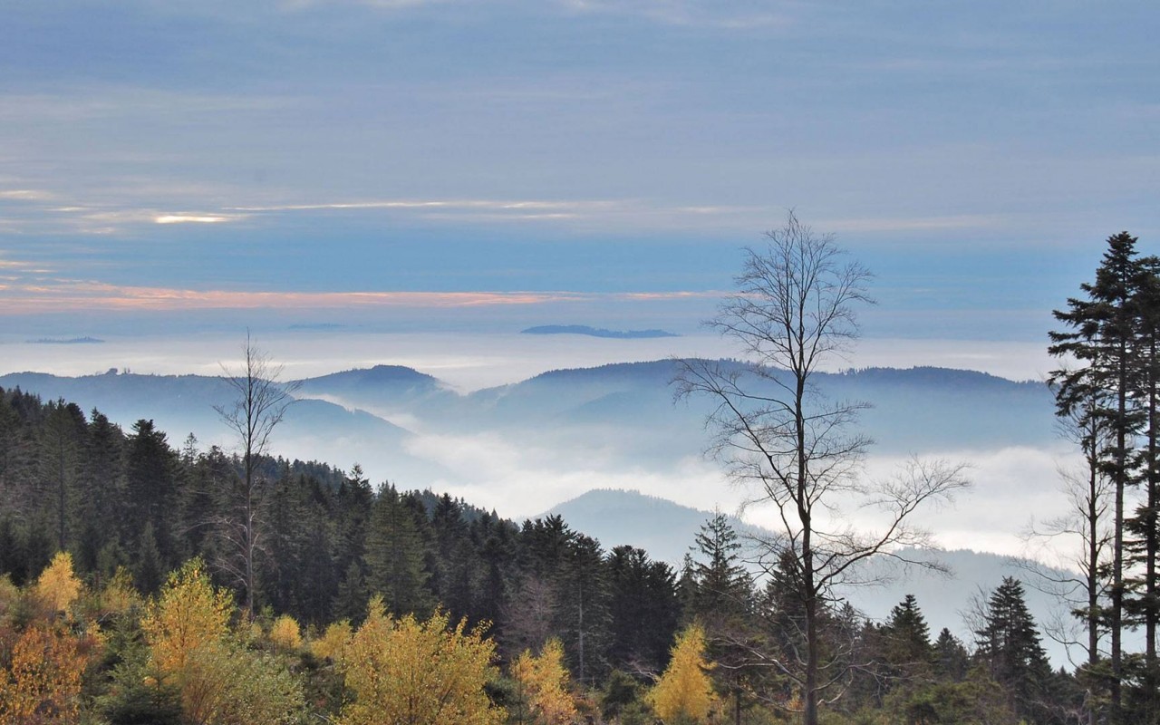 Холмы в тумане обои