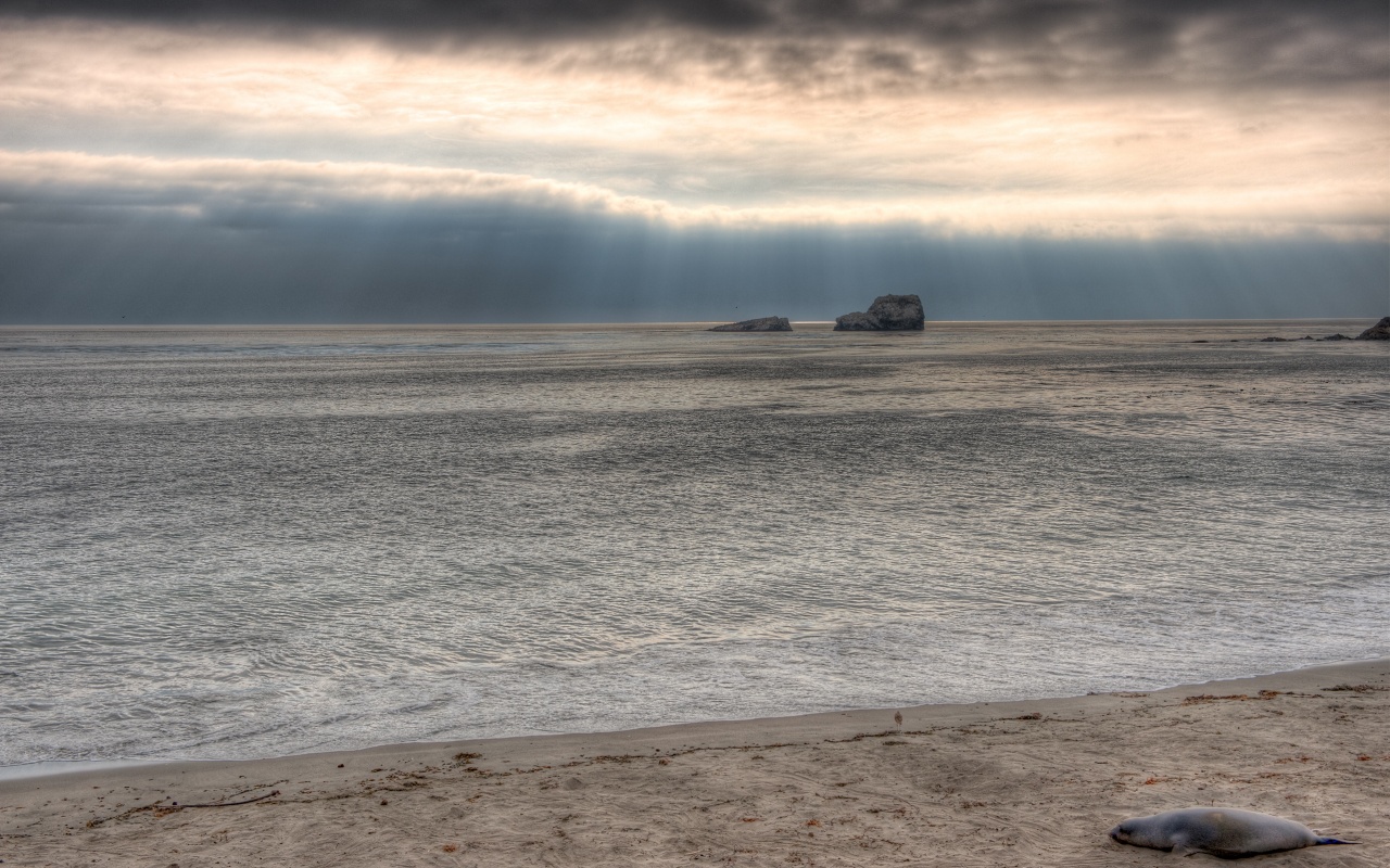 Пляж на фоне светящегосы неба обои