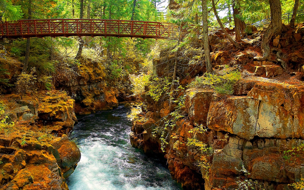 Мостик через реку в лесу обои
