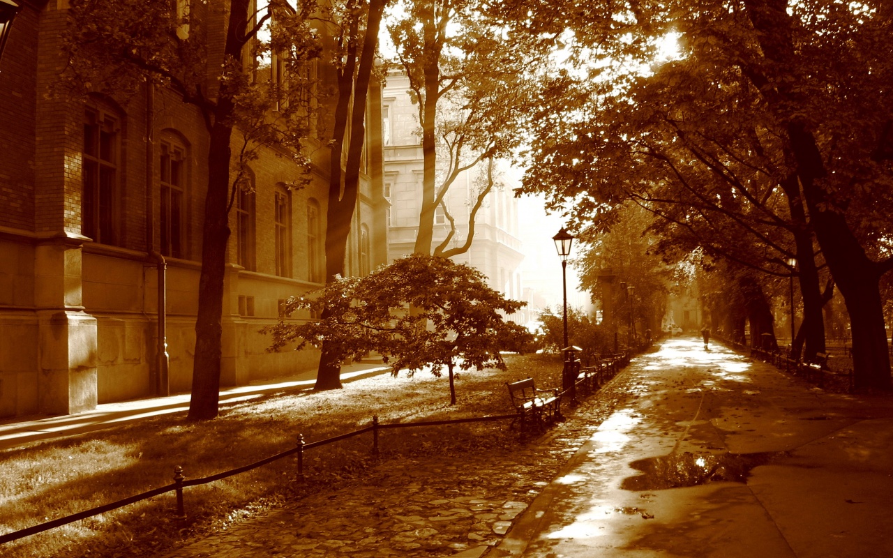 Аллея у здания обои