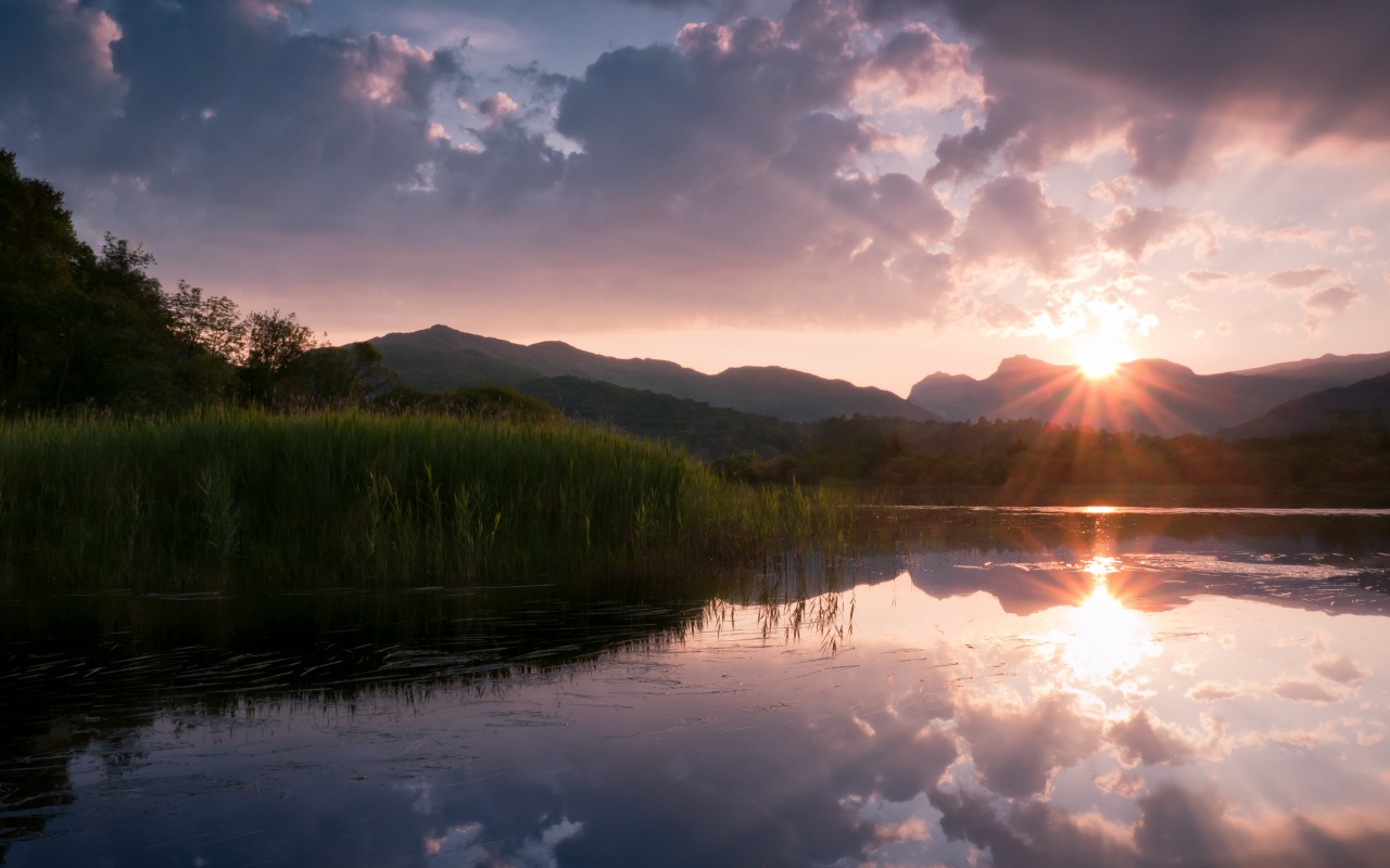 Закат за лесом обои