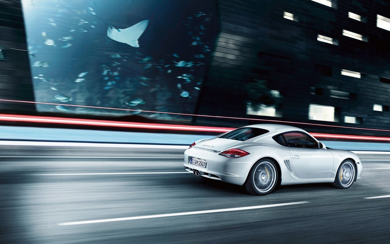 Porsche на трассе обои