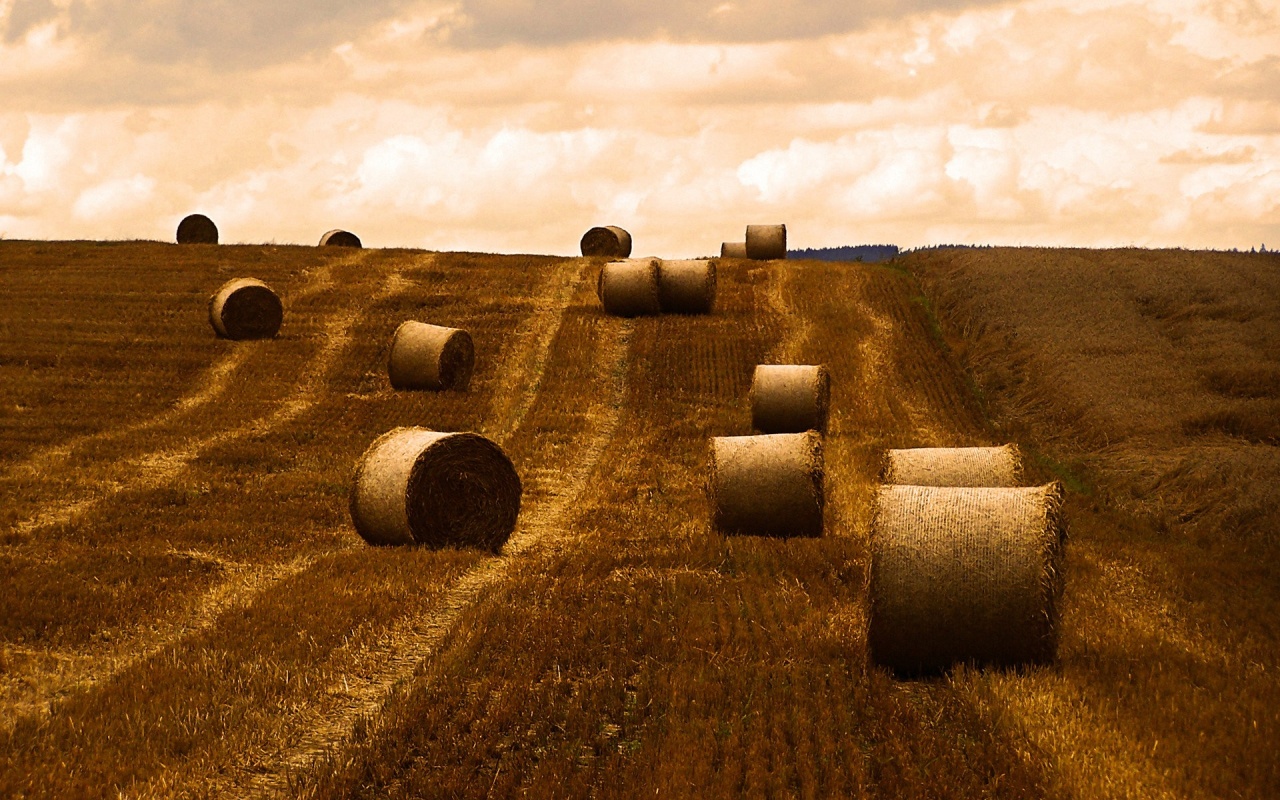 Уборка сена с поля обои