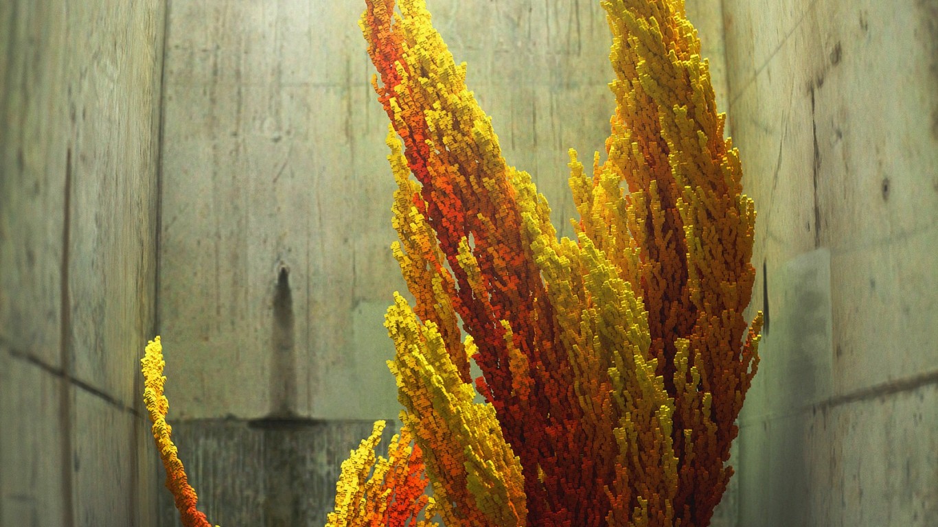 3d растение обои