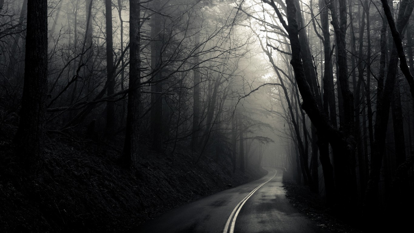 В туман обои