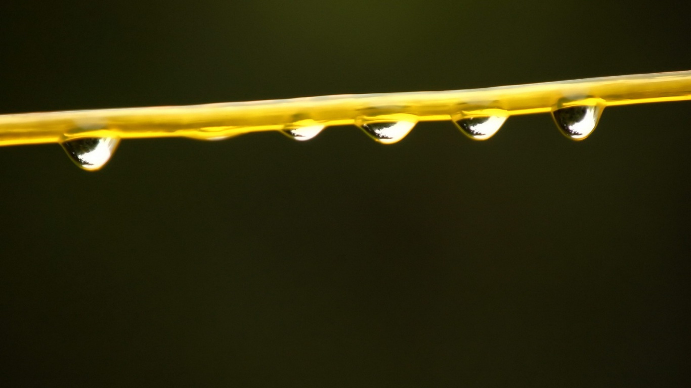 Капли на соломинке обои