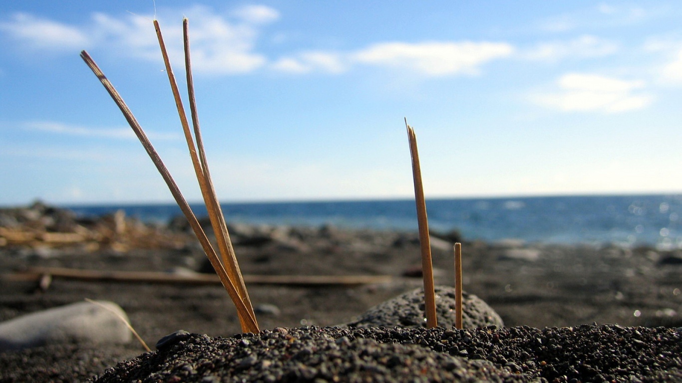 Солома на океанском берегу обои