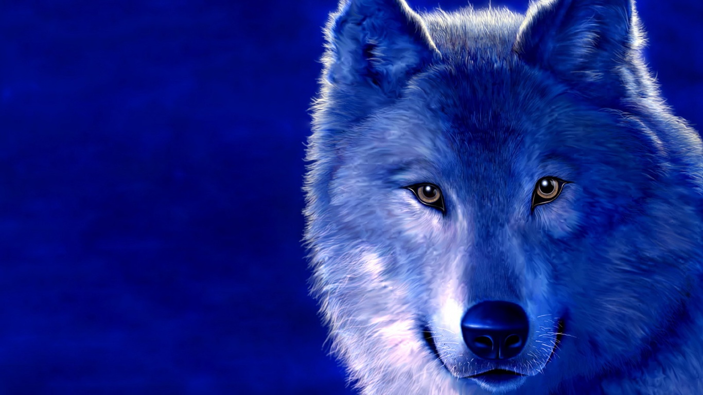 Рисунок волка обои