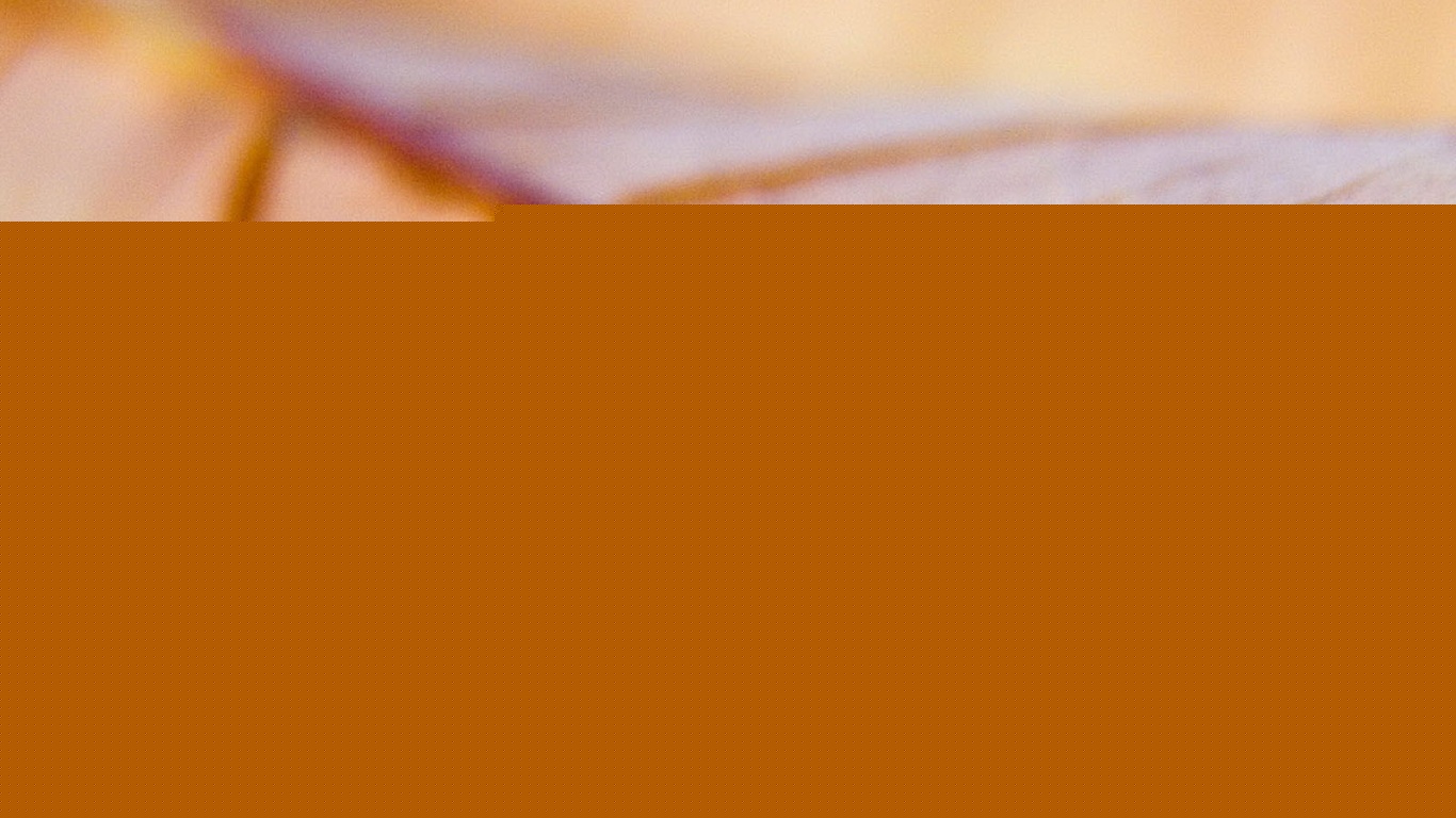 Желтый лист обои