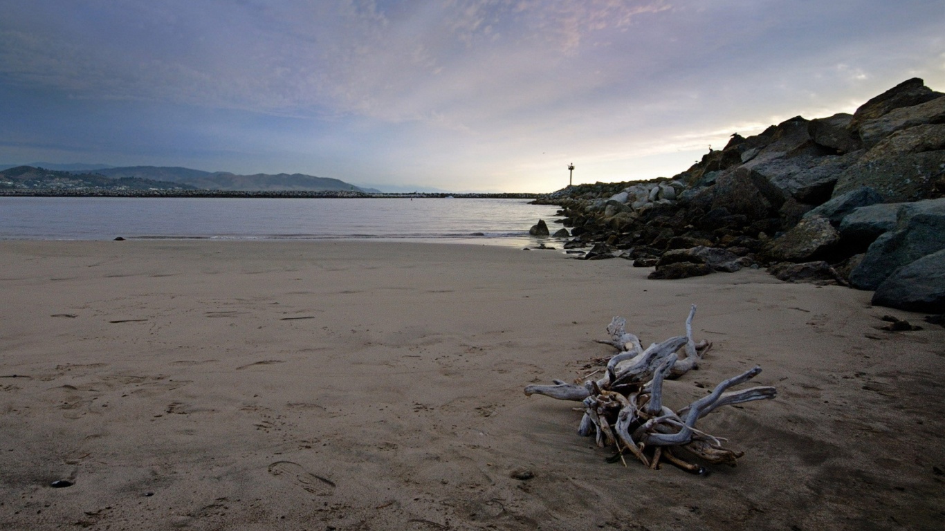 Коряга не берегу обои