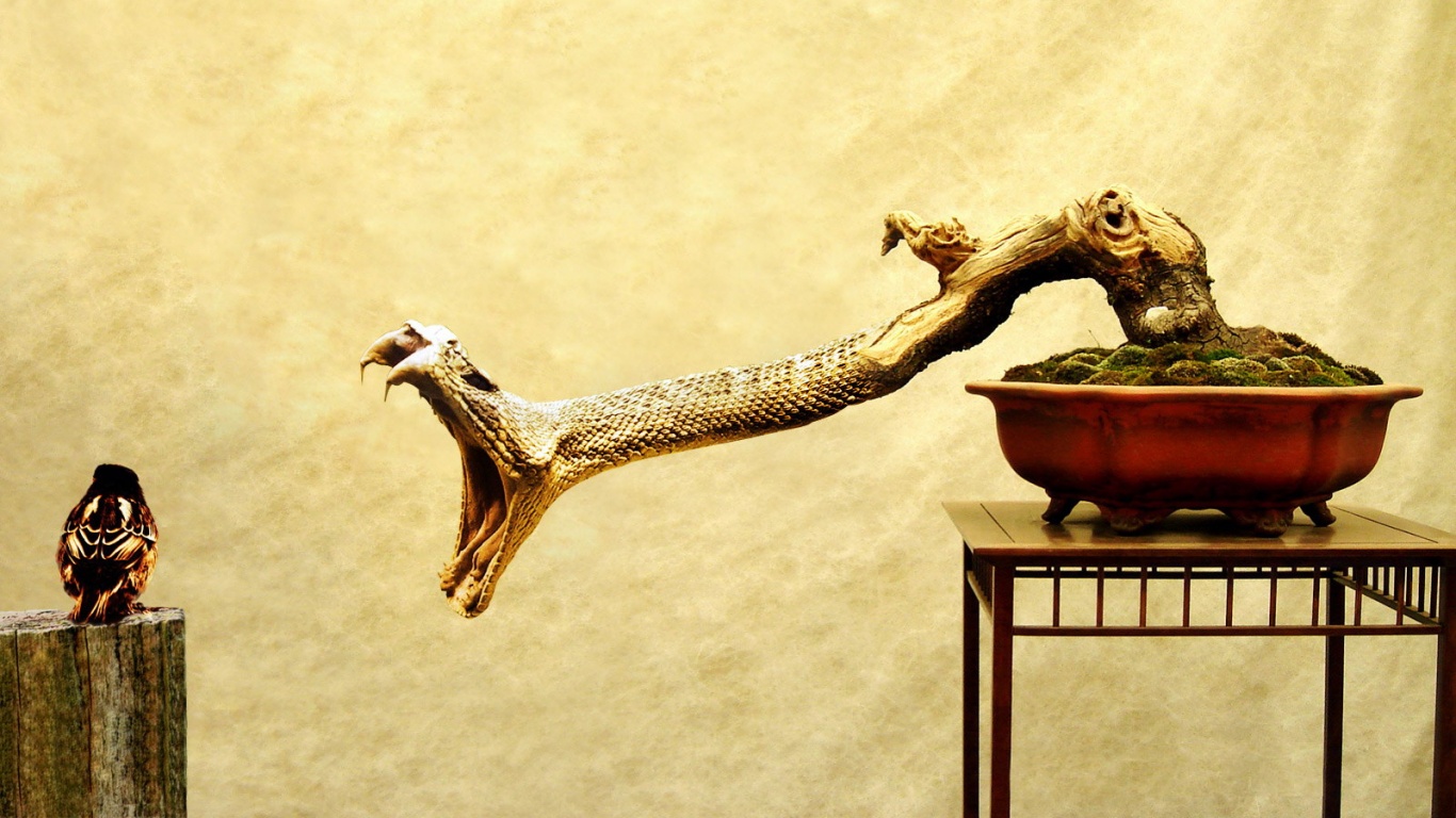 Змея-коряга напдает на птичку обои