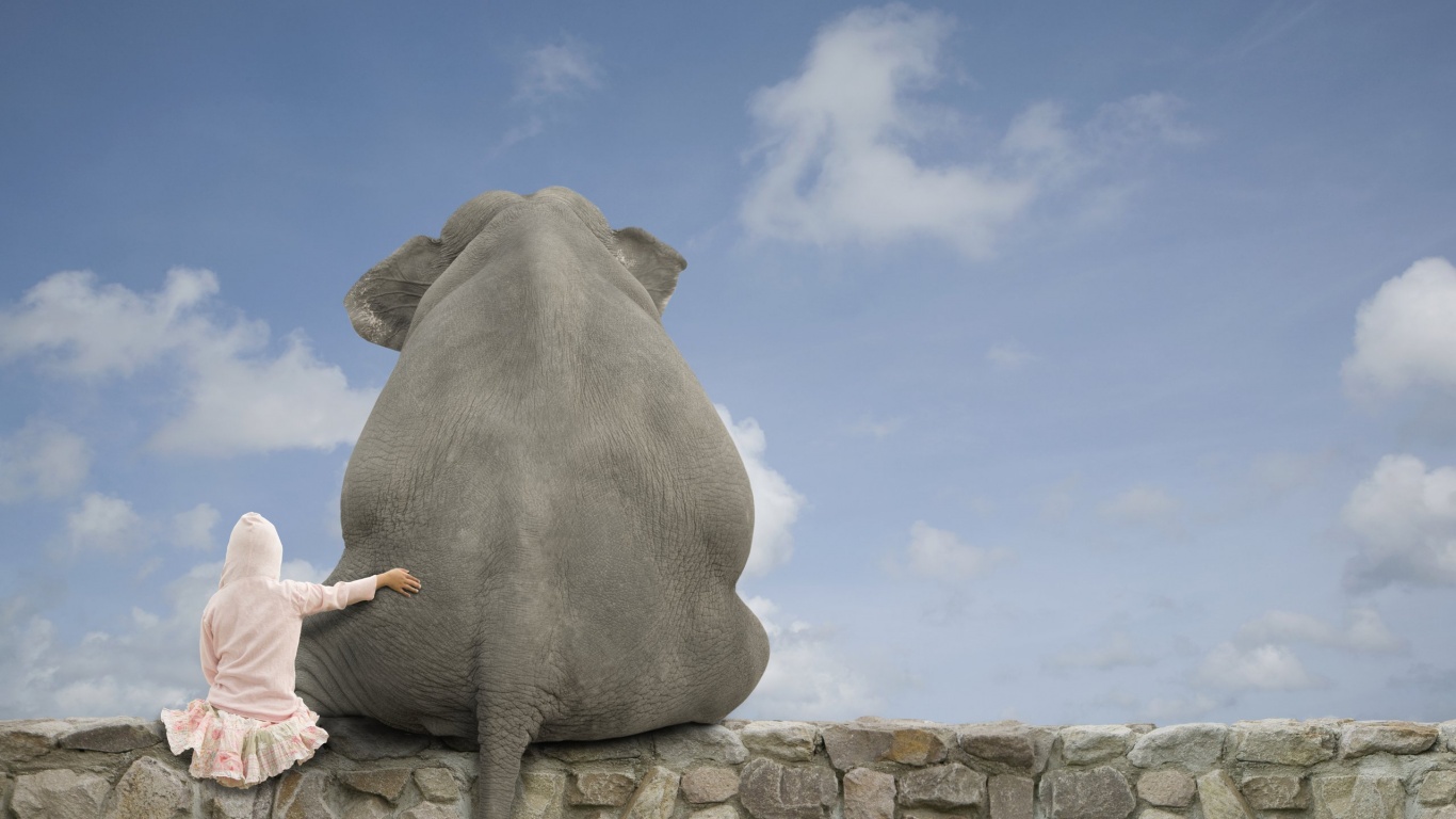 Девочка и слон обои