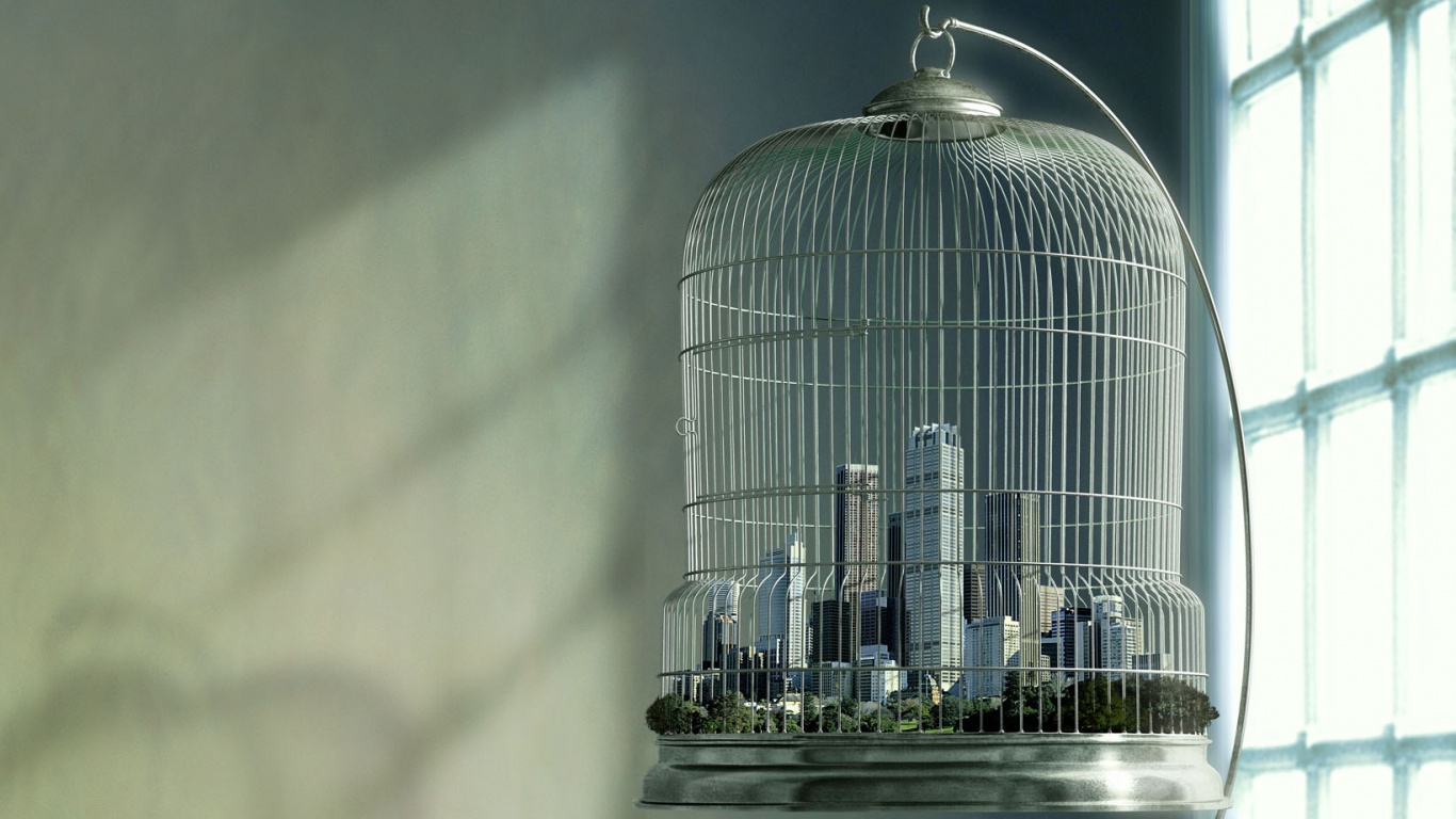 Город в клетке обои