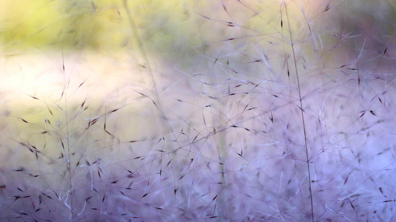 Былинки обои