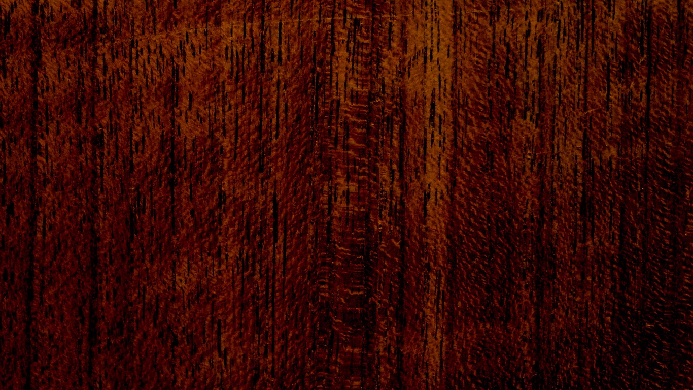 Темно-оранжевое дерево обои