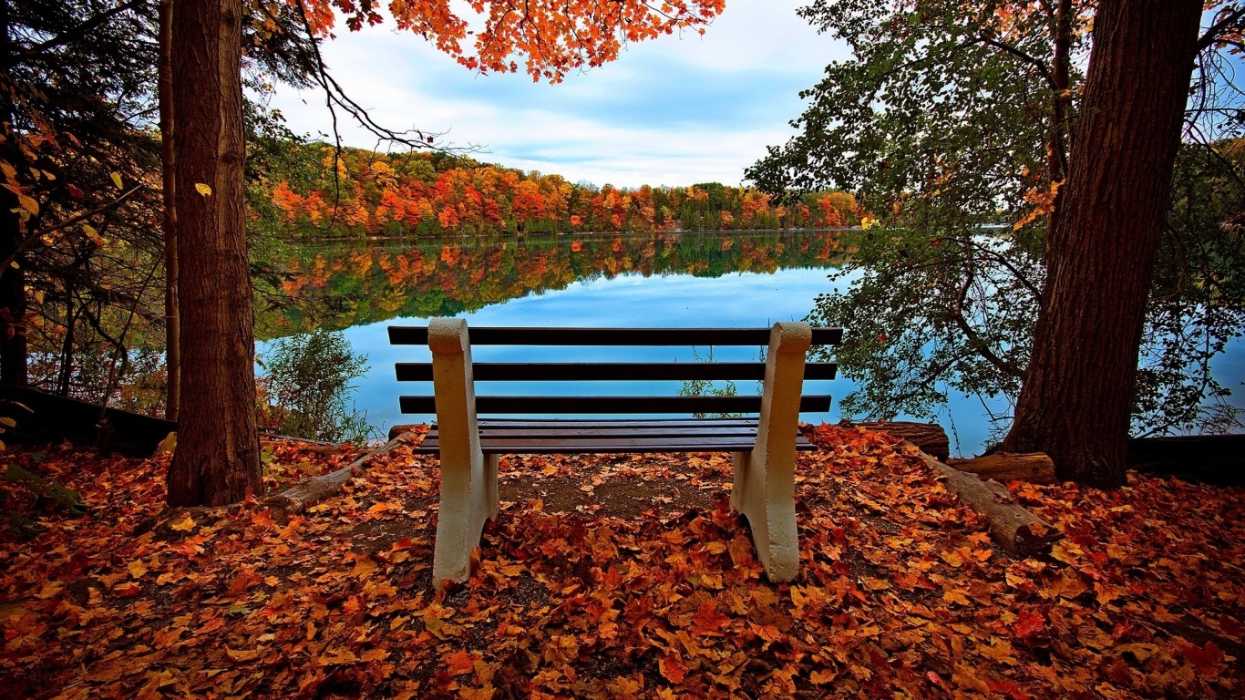 Вид на осеннее озеро обои