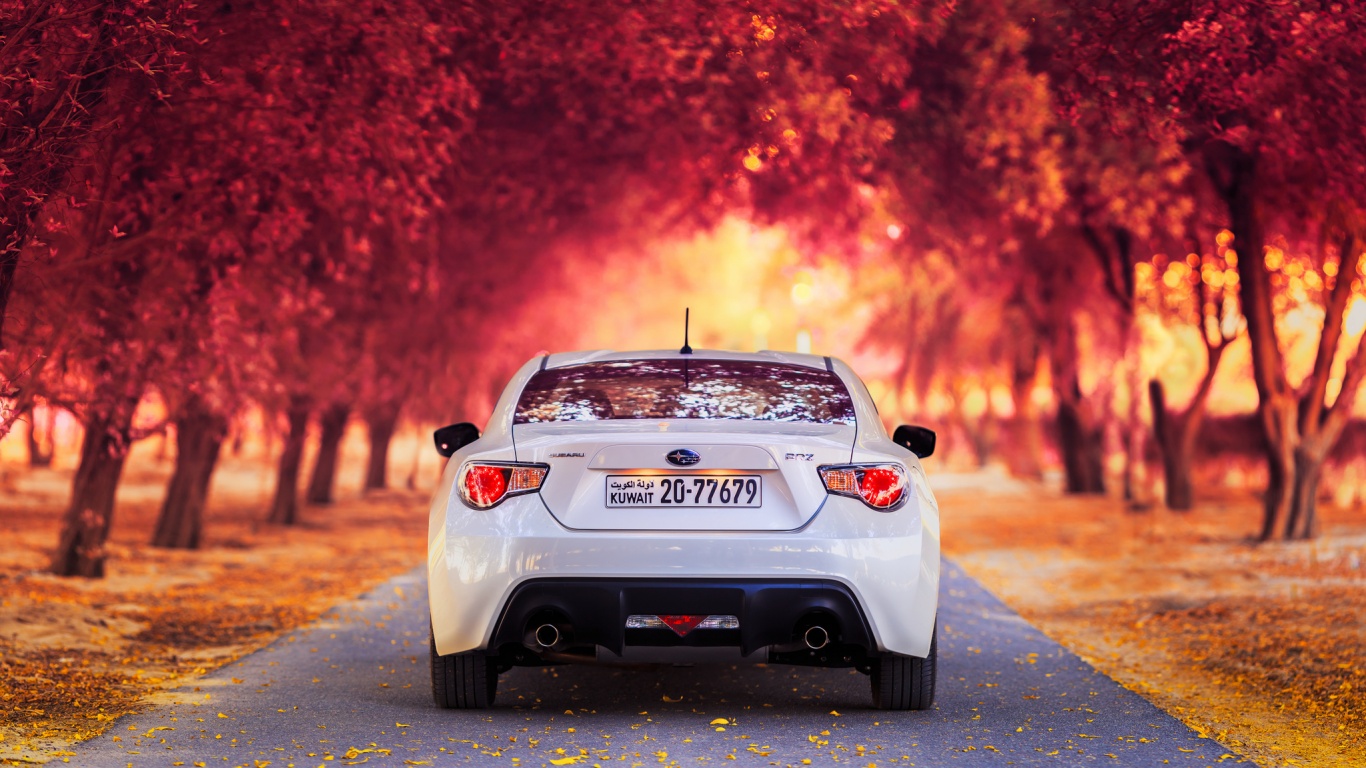 Субару на осенней дороге обои