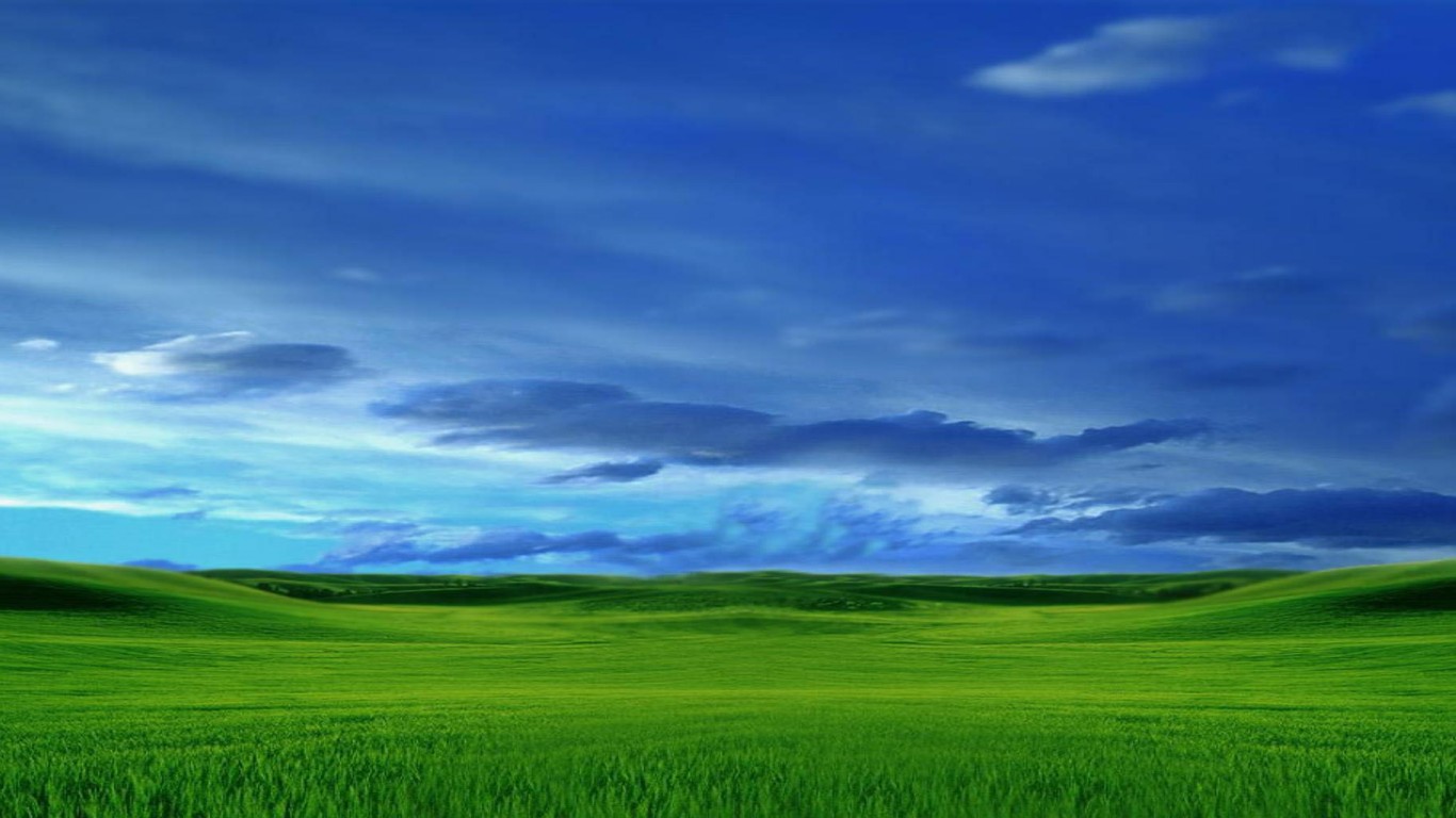 Зеленый луг обои