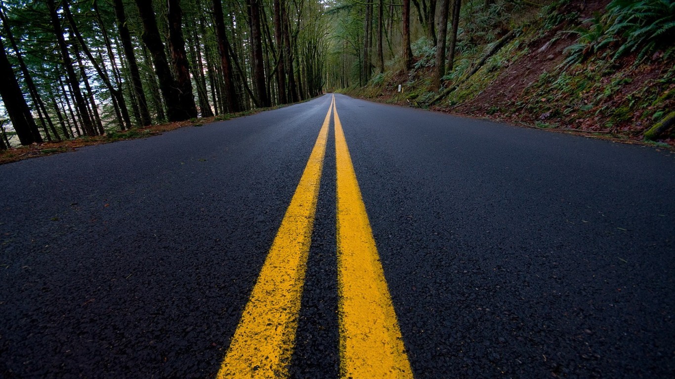 Дорога в лесу обои