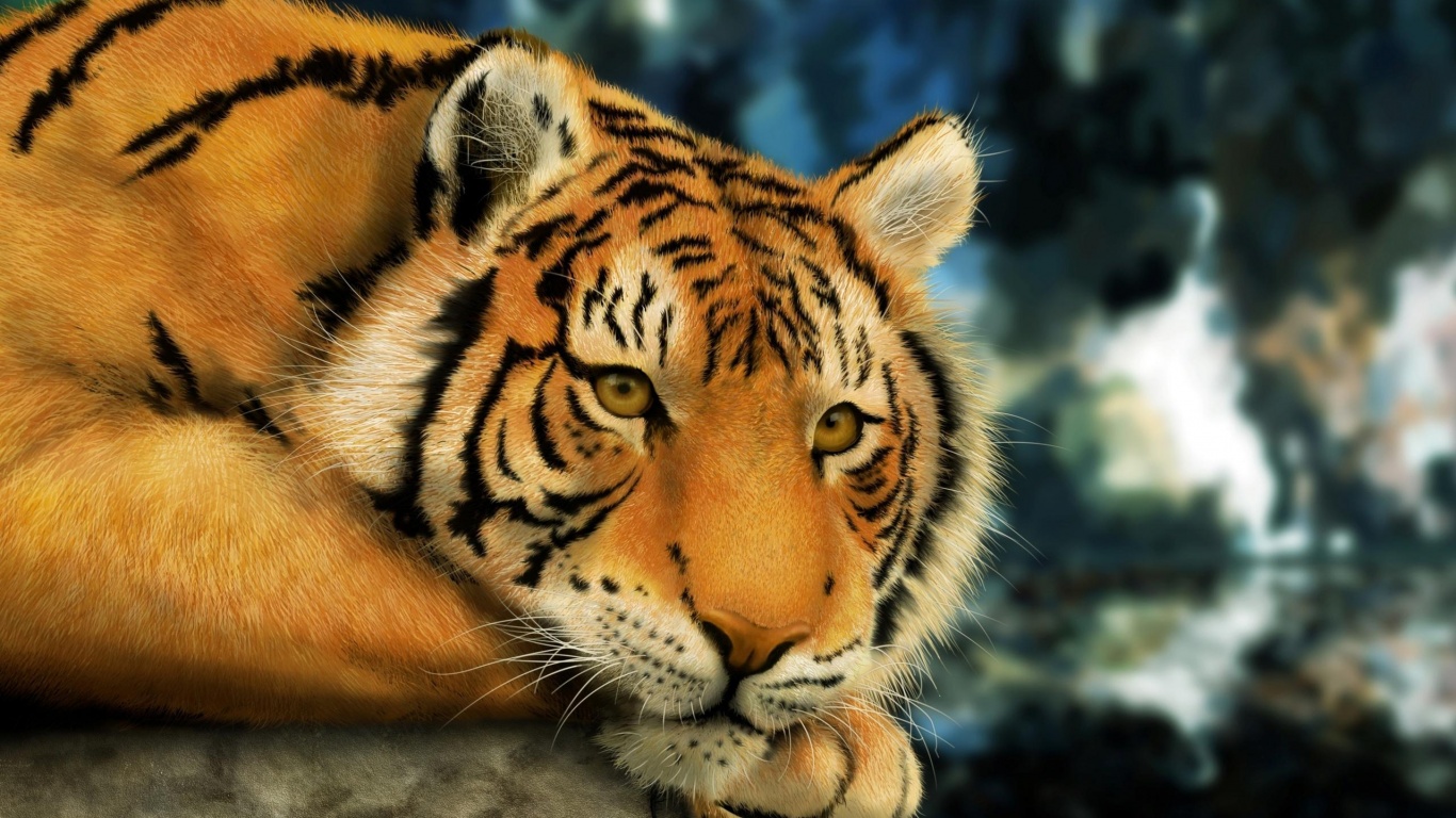 Грустный тигра обои