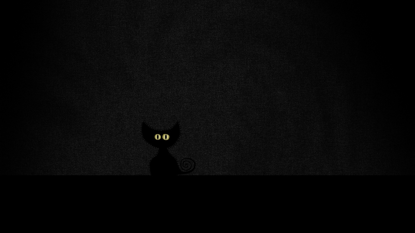 Чёрный кот в ночи обои