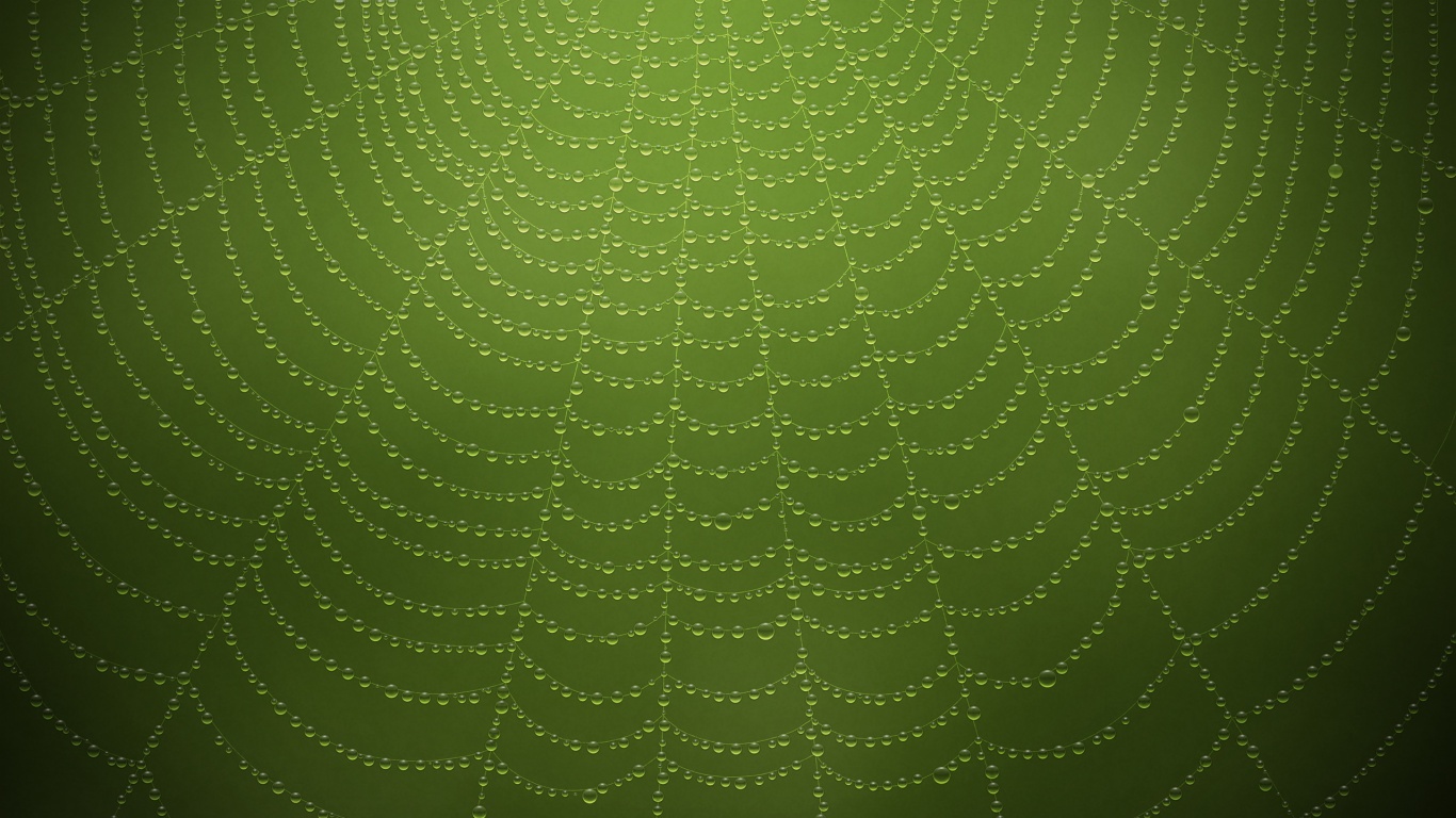 Роса на паутине обои