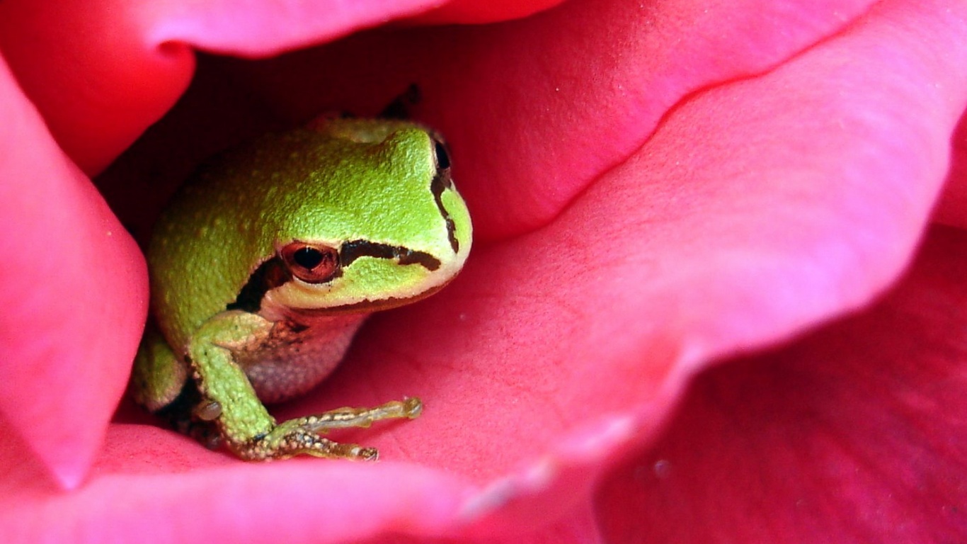 Куда это ты смотришь? обои