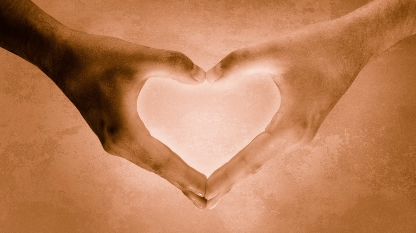 Сердце из сложенных рук обои