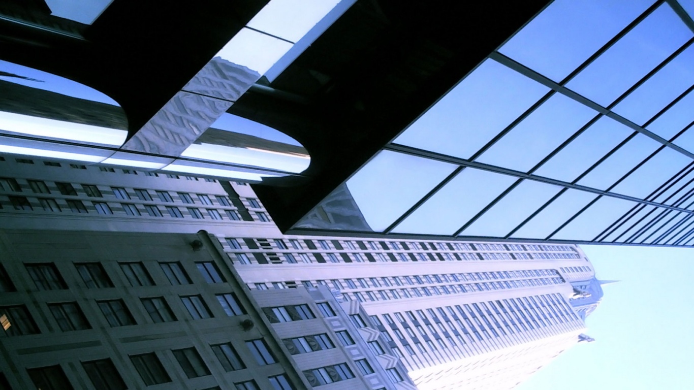 Взгляд вверх обои