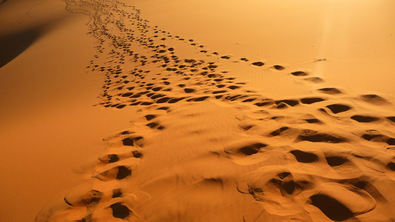 Следы в пустыне обои
