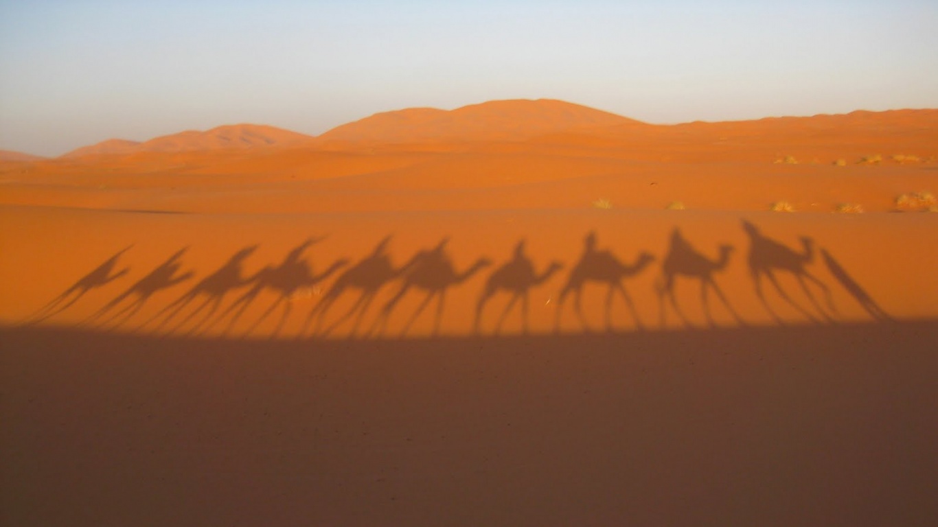 Караван обои