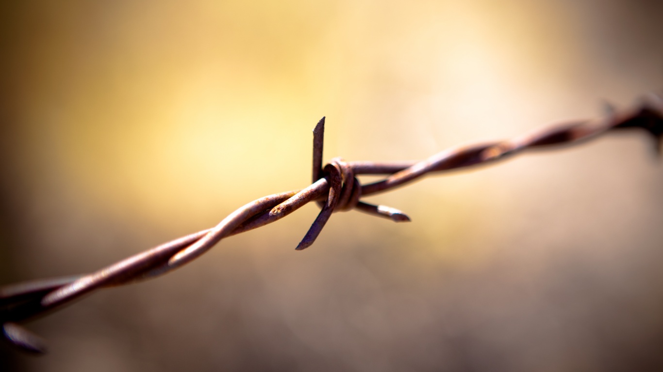Фото колючей проволоки обои