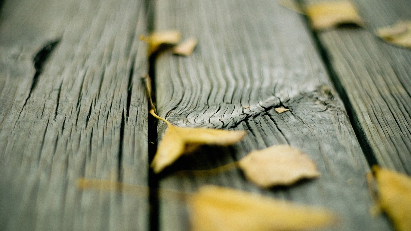 Листья на дощатом полу обои