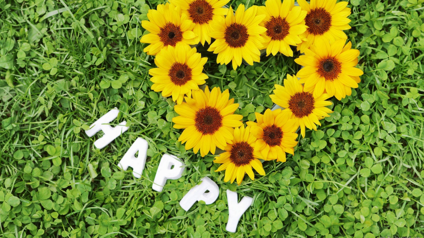 Радость обои