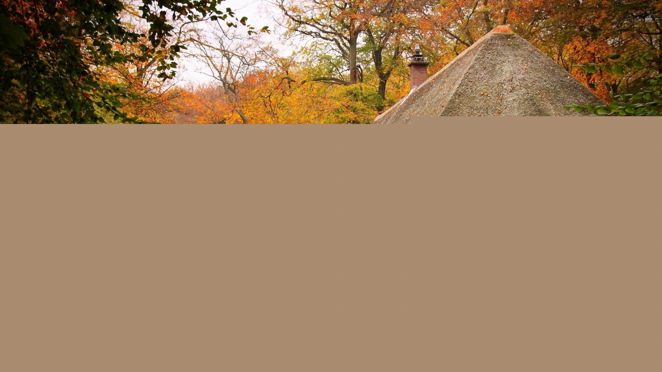 Домик в осеннем лесу обои