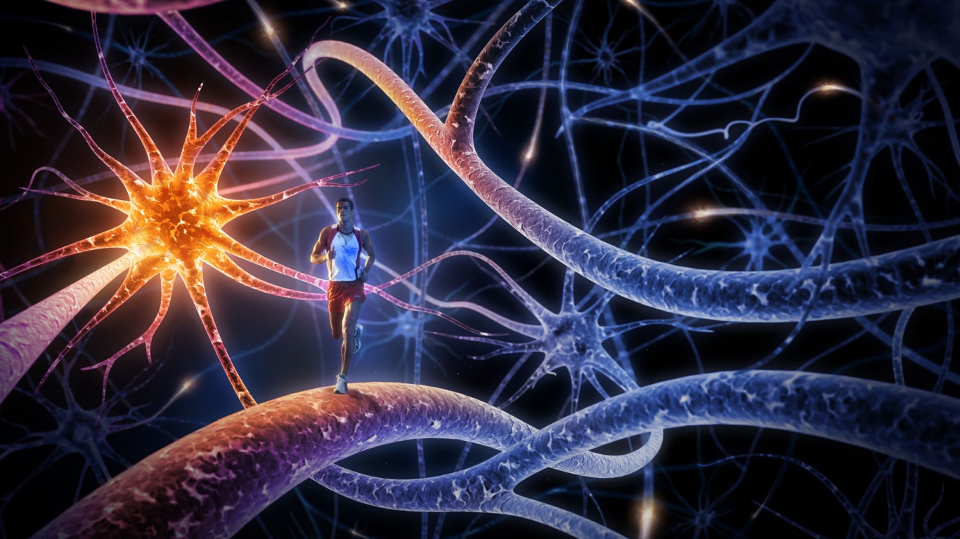 Бег мыслей обои