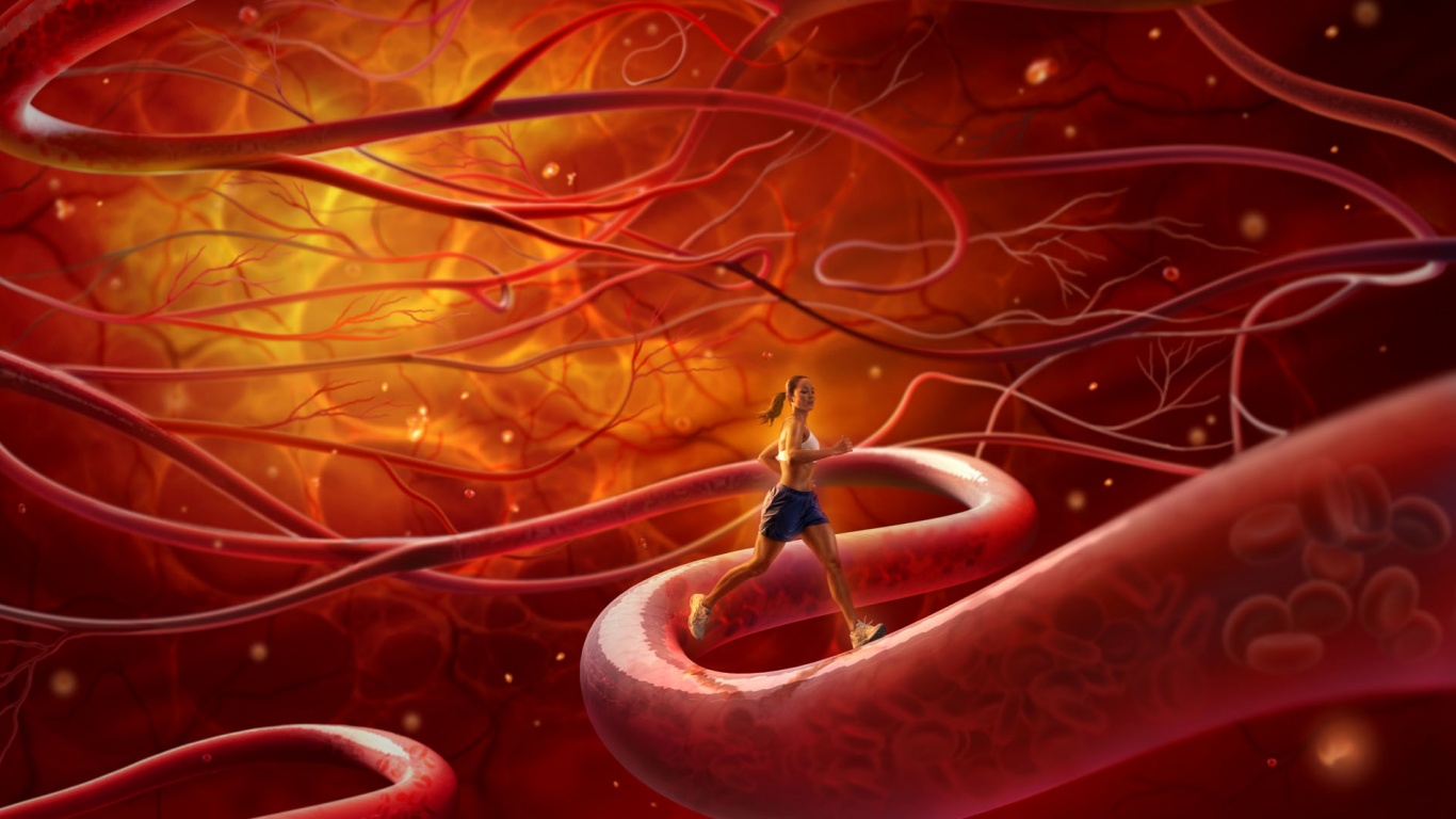 Бег крови обои