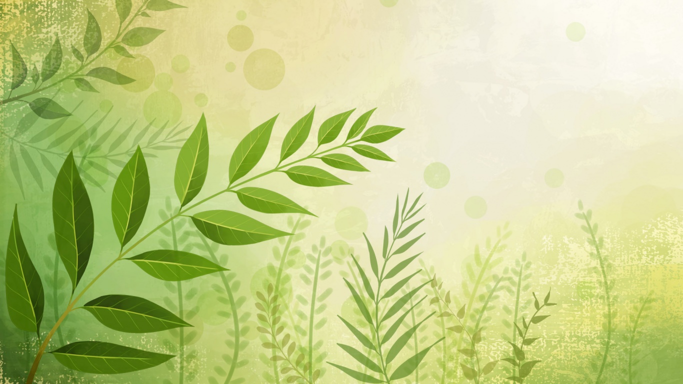 Веточка молодых листьев обои