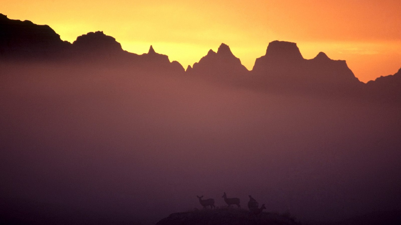 Вечер в национальном парке обои