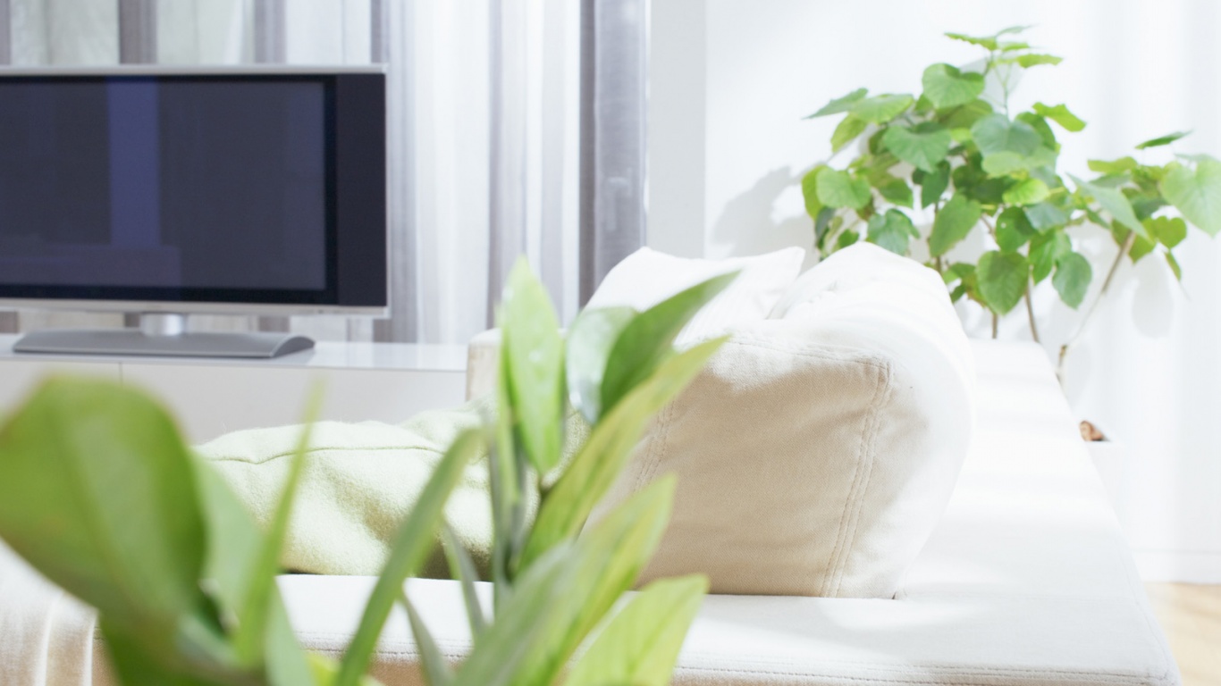 Белая комната обои