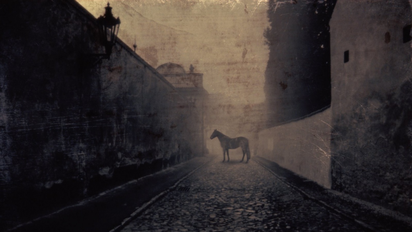 Лошадь в тумане обои